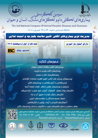 سومین 